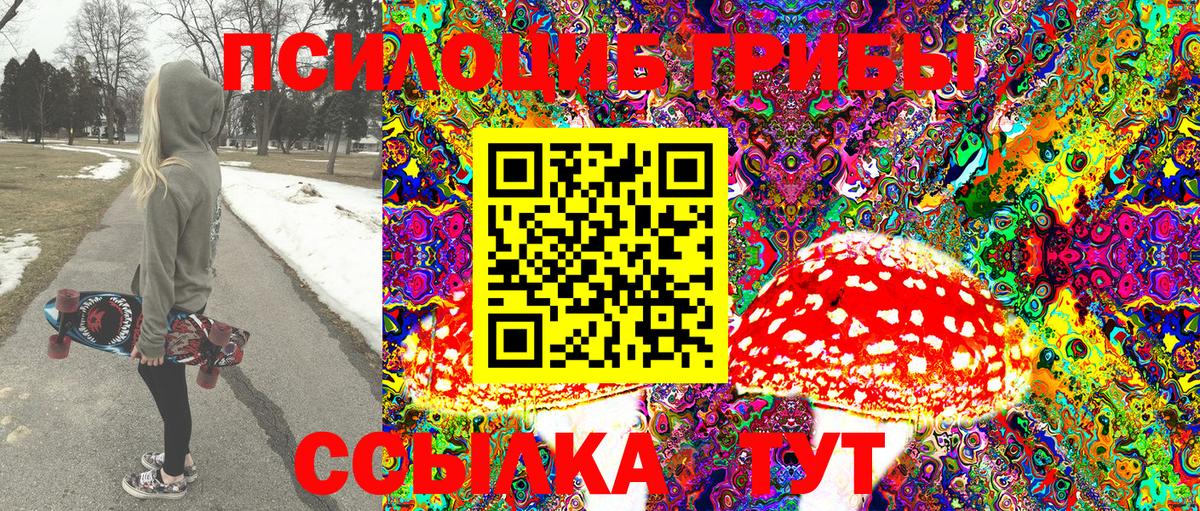 Галлюциногенные грибы ЛСД Губкин
